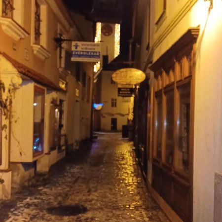 Apartman Pod Hradem Znojmo Dış mekan fotoğraf